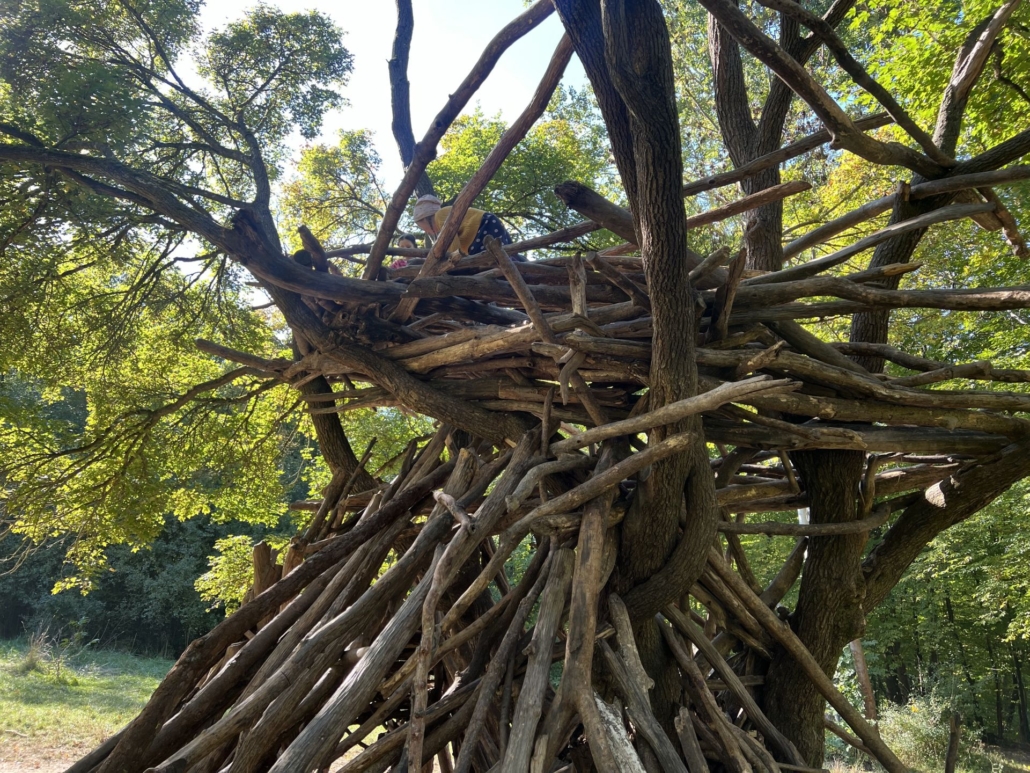 großes Kletterarreal für den Familienausflug in Erfurt