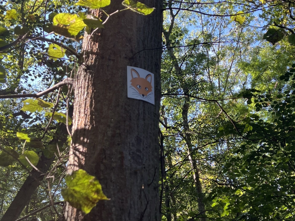 Fuchspfad im Touringen-Stempelhelt für Kinder am Erfurter Steiger