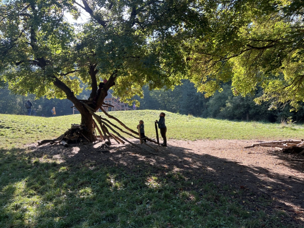Waldspielplatz für die ganze Familie - Hier entstehen Baumhäuser im Wald