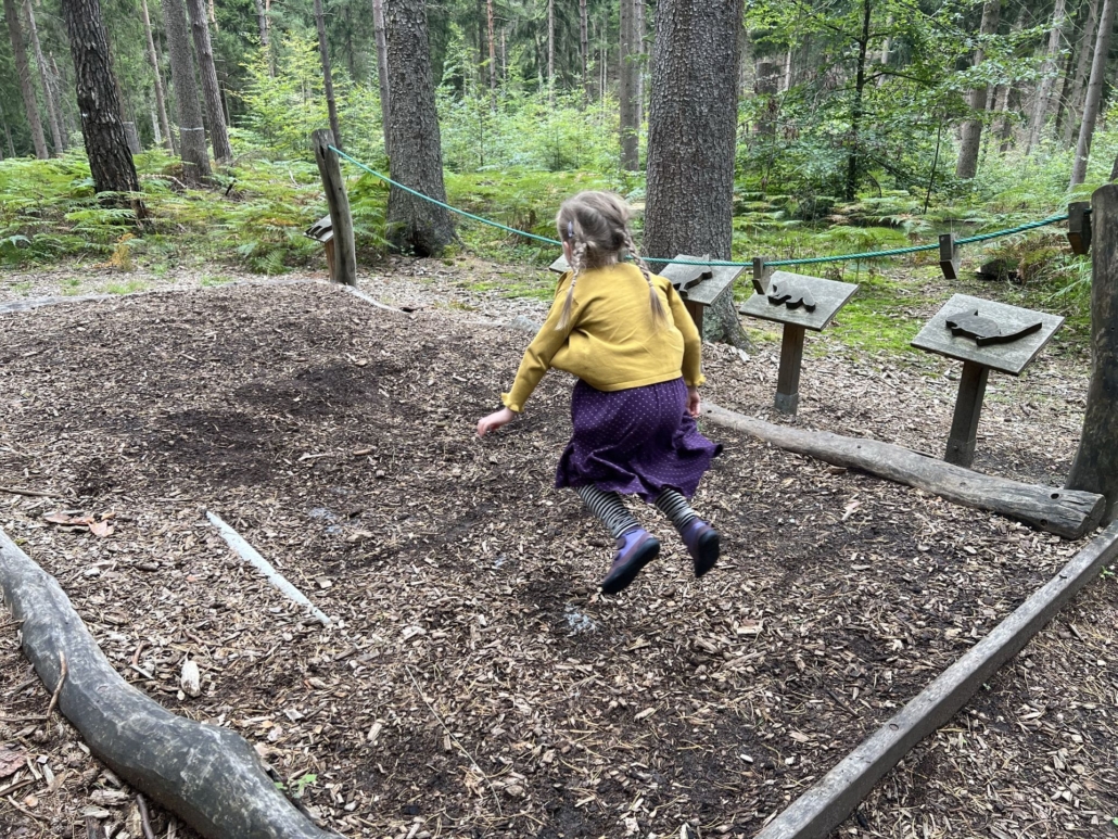 Tierweitsprungstation - ein Spaß für die ganze Familie auf unserem Ausflug zum Naturlehrpfad Reinhardtsdorf