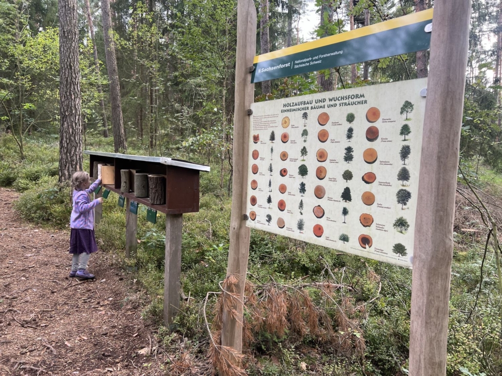 Baumraten - jedes Familienmitglied macht mit - Lernen auf unserem Ausflug zum Naturlehrpfad Reinhardtsdorf